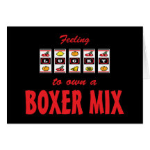 Lucky to Own a Boxer Mix Fun Dog Design Card