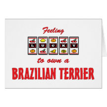 Lucky to Own a Brazilian Terrier Fun Dog Design Greeting Card