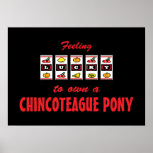 Lucky to Own a Chincoteague Pony Fun Design Poster