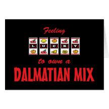 Lucky to Own a Dalmatian Mix Fun Dog Design Card