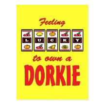 Lucky to Own a Dorkie Fun Dog Design Postcards