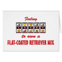Lucky to Own a Flat-Coated Retriever Mix Greeting Cards
