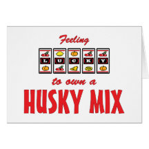 Lucky to Own a Husky Mix Fun Dog Design Cards