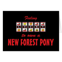 Lucky to Own a New Forest Pony Fun Design Greeting Cards