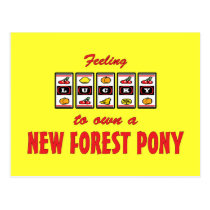 Lucky to Own a New Forest Pony Fun Design postcards