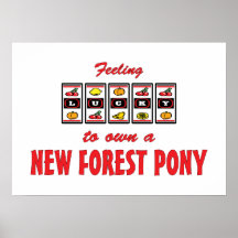 Lucky to Own a New Forest Pony Fun Design Print