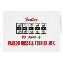 Lucky to Own a Parson Russell Terrier Mix Greeting Cards