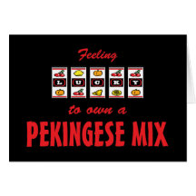 Lucky to Own a Pekingese Mix Fun Dog Design Cards