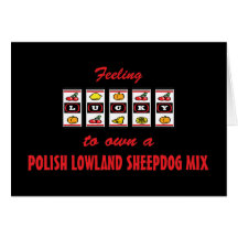 Lucky to Own a Polish Lowland Sheepdog Mix Card
