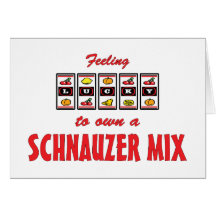 Lucky to Own a Schnauzer Mix Fun Dog Design Greeting Card