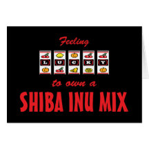 Lucky to Own a Shiba Inu Mix Fun Dog Design Greeting Card