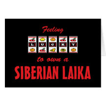 Lucky to Own a Siberian Laika Fun Dog Design Cards