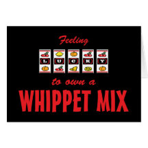 Lucky to Own a Whippet Mix Fun Dog Design Cards