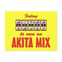 Lucky to Own an Akita Mix Fun Dog Design Post Cards