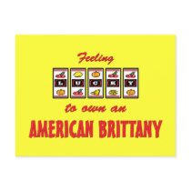 Lucky to Own an American Brittany Fun Dog Design Post Card
