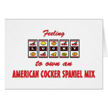 Lucky to Own an American Cocker Spaniel Mix Cards