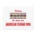 Lucky to Own an American Eskimo Dog Fun Dog Design Postcards