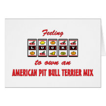 Lucky to Own an American Pit Bull Terrier Mix Greeting Card