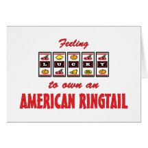 Lucky to Own an American Ringtail Fun Cat Design Card