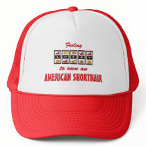 Lucky to Own an American Shorthair Fun Cat Design Hat