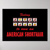 Lucky to Own an American Shorthair Fun Cat Design Print