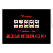 Lucky to Own an American Water Spaniel Mix Cards