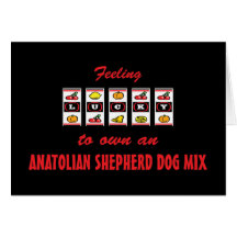 Lucky to Own an Anatolian Shepherd Dog Mix Greeting Card