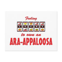 Lucky to Own an Ara-Appaloosa Fun Horse Design Post Cards