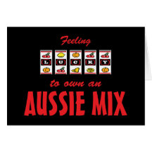 Lucky to Own an Aussie Mix Fun Dog Design Card