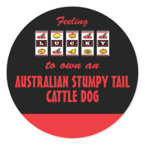 Lucky to Own an Australian Stumpy Tail Cattle Dog Round Stickers