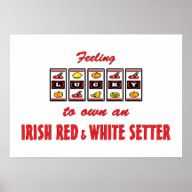 Lucky to Own an Irish Red and White Setter Posters