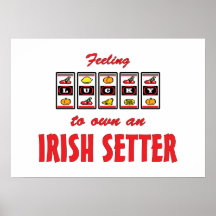 Lucky to Own an Irish Setter Fun Dog Design Posters