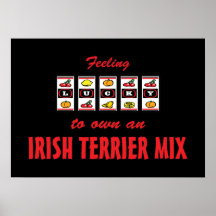 Lucky to Own an Irish Terrier Mix Fun Dog Design Posters