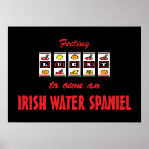 Lucky to Own an Irish Water Spaniel Fun Dog Design Print