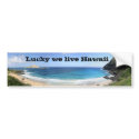 Lucky we live Hawaii bumper stickers