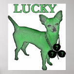 LuckyDog7 posters