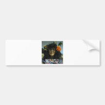 Lucy Loosie Images 3 Bumper Stickers