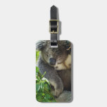 Luggage Tag - Customised