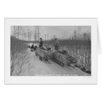 Lumber Dog Seward, Alaska 1917 Greeting Cards