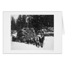 Lumber Hauling Seward, Alaska 1919 Card