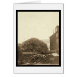Lumber Mill in Centre City SD 1888 cards