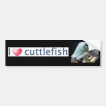 Luminous Cuttlefish Bumper Stickers