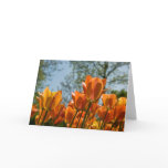 Luminous Orange Tulips Greeting Card