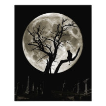 Luna 16x20 art photo