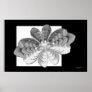 Luna Butterfly Print