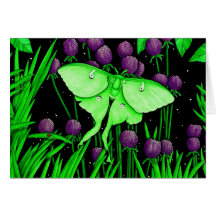 Luna Moth Card