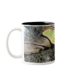 Luna Moth Lg Coffee Mug