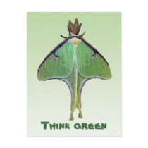 Luna Moth Think Green