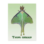 Luna Moth Think Green postcards