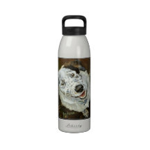 Lunacy of Cattle Dogs Finnegan Water Bottle